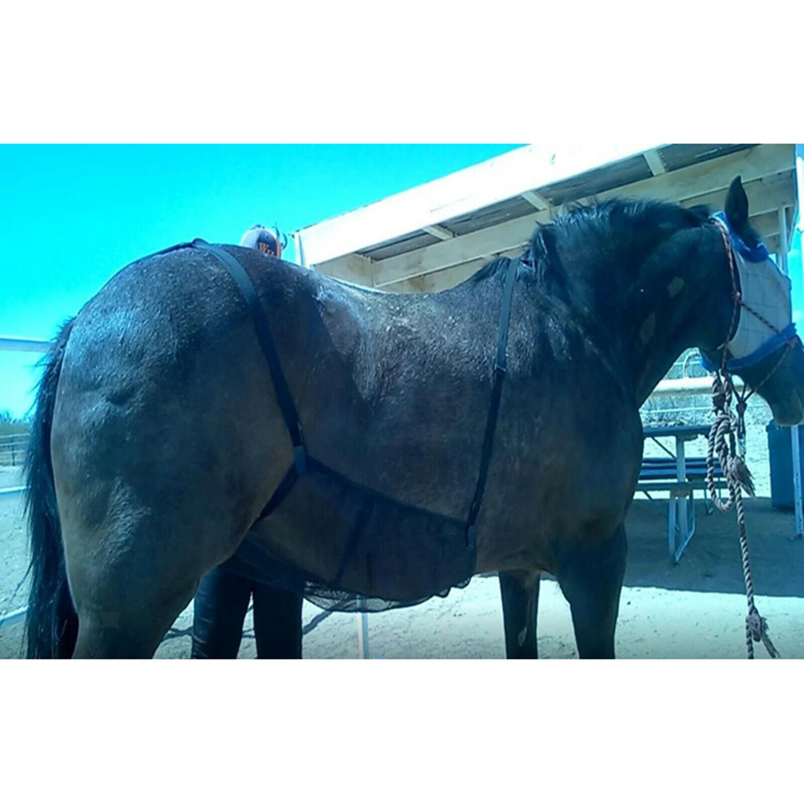 Horse Fly Sheet Protective Belly Guard Abdomen Net Comfortable Pony Blanket