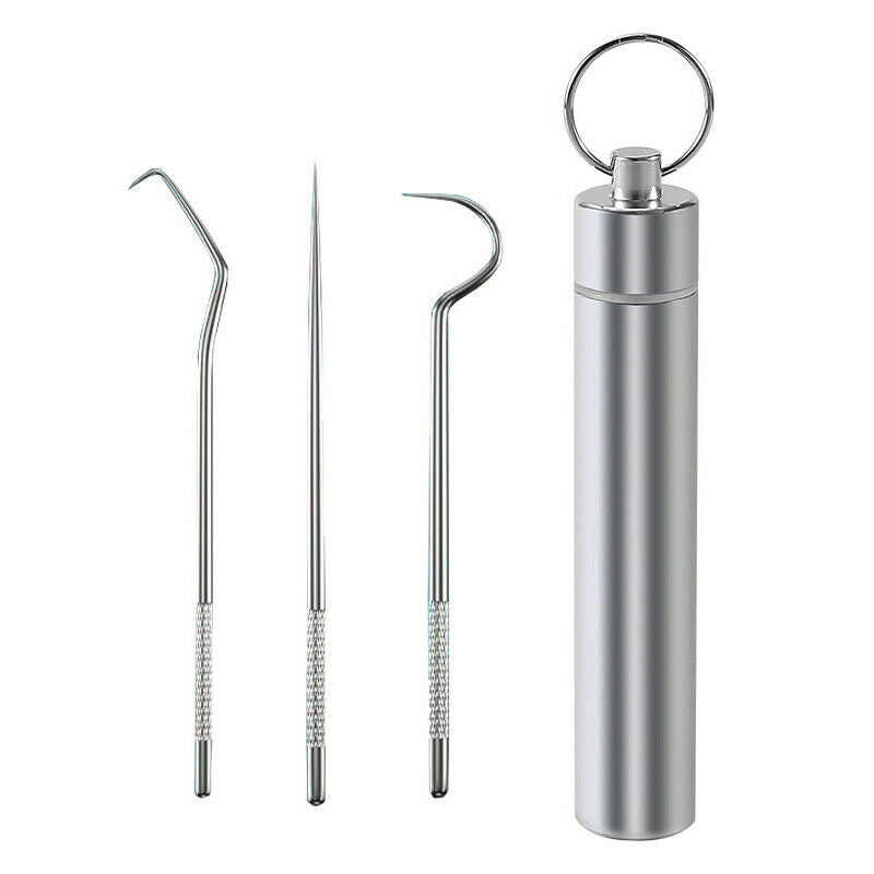3pcs/set Stainless Steel Toothpick Oral Care Flossing Tool Portable KeychainFCA