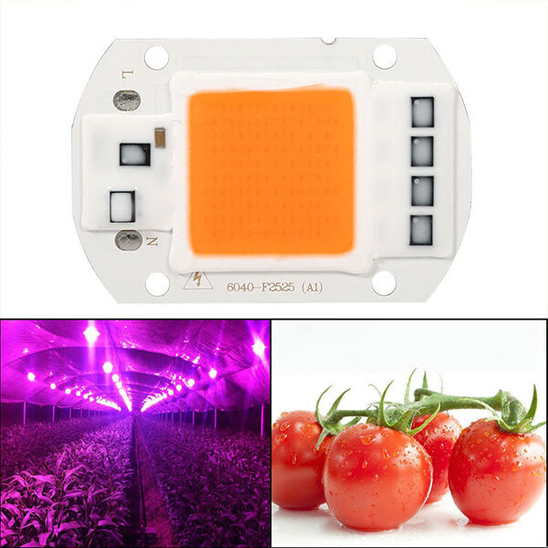 LED 110V 50W Full Spectrum 380-840nm COB Indoor White/Warm Plant Grow Light Chip