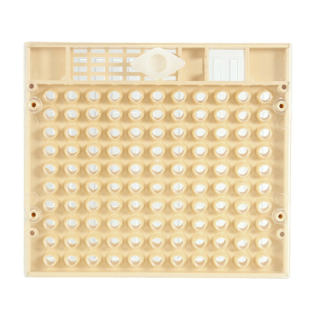 Cage Function Bee Queen Matchbox Movement Tool Beekeeping Collector with 100