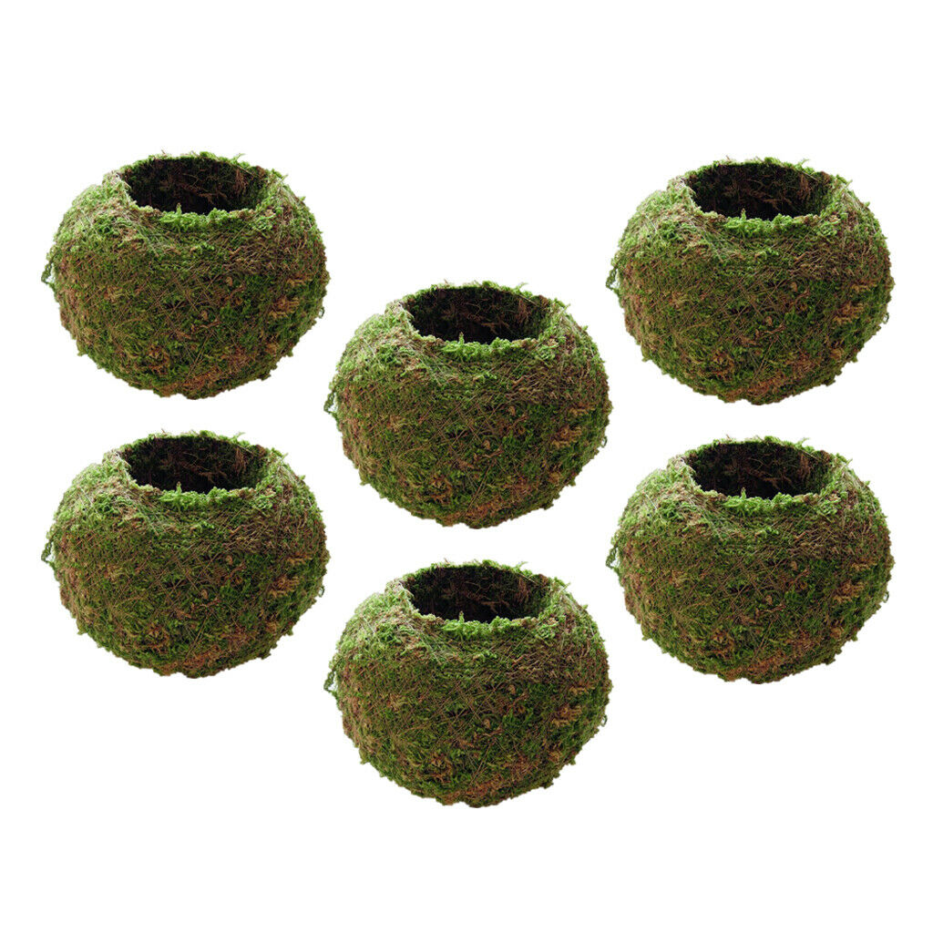 6 x Natural Moss Planting Ball Flower Pot Succulent Pot Garden Ornament 9cm