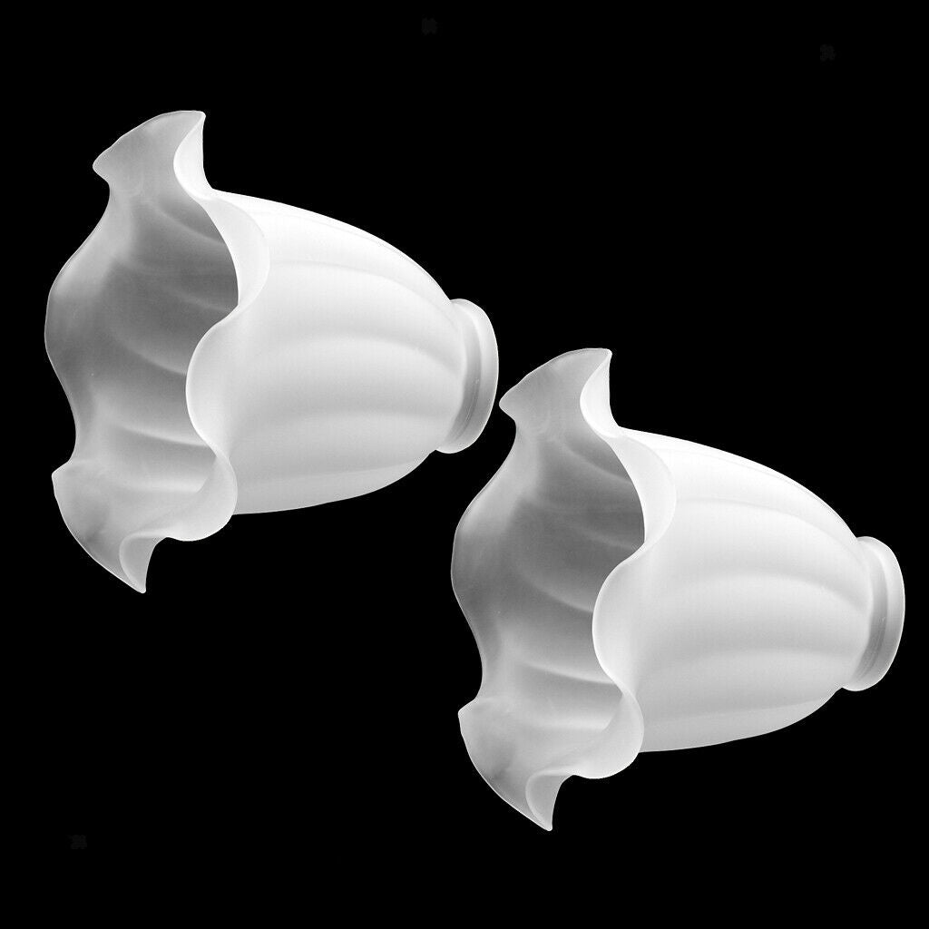 2Pcs Ceiling Light Shade Suitable for Chandelier, Ceiling Lamp, Wall Lamp