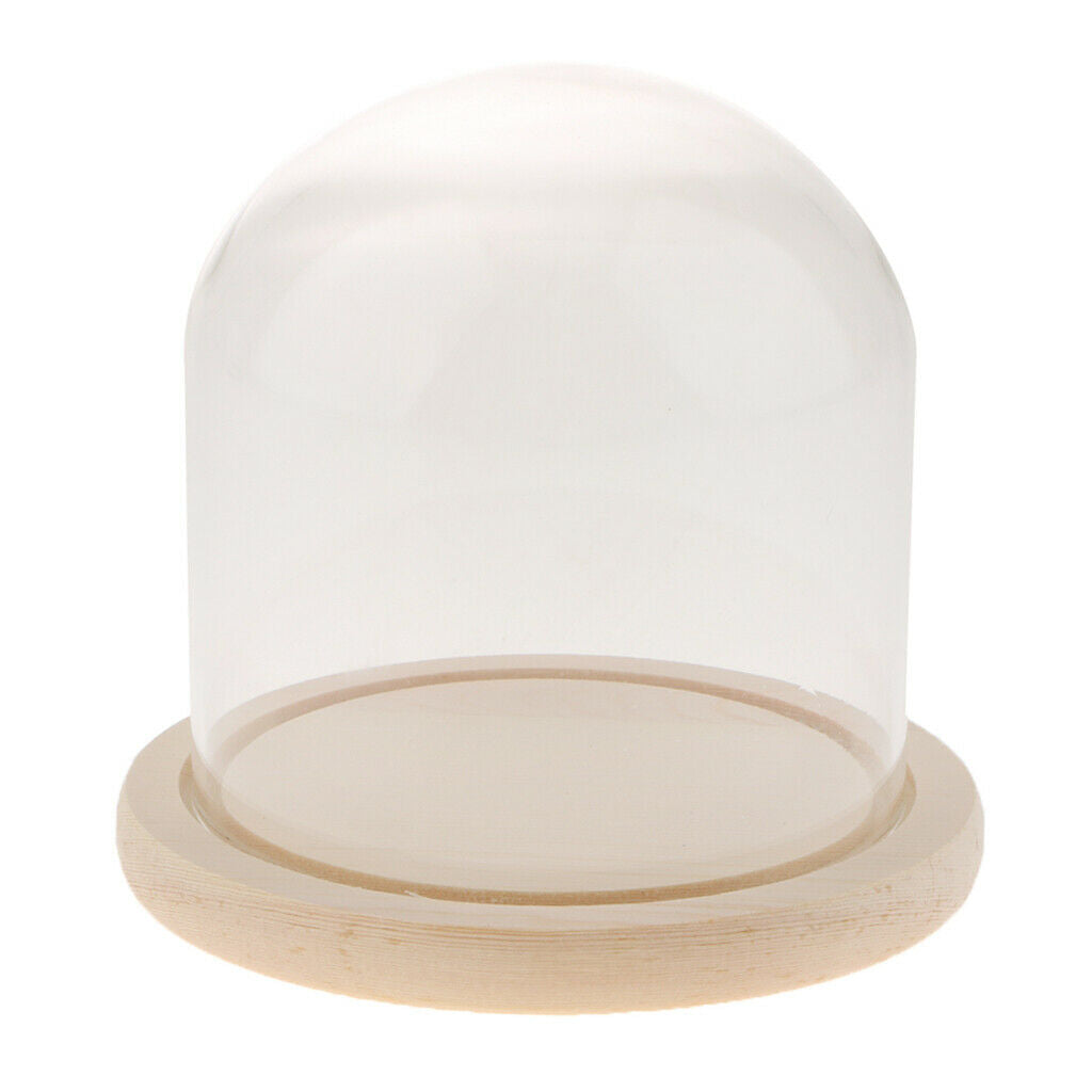 Glass Cloche Micro Landscape Plant Flower Mini Garden Dome Cover Vases