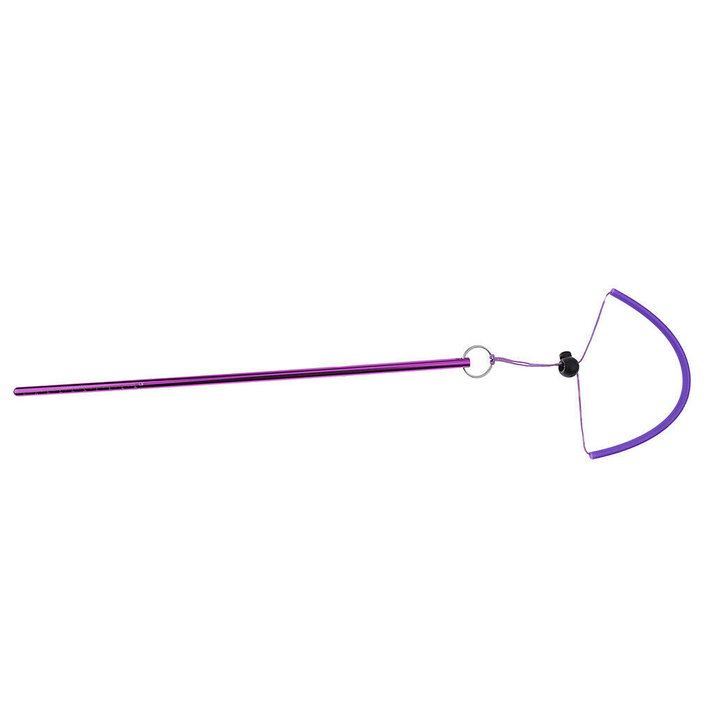 Scuba Diving Stick Pointer Rod Underwater Lobster Stick with Landyard Purple