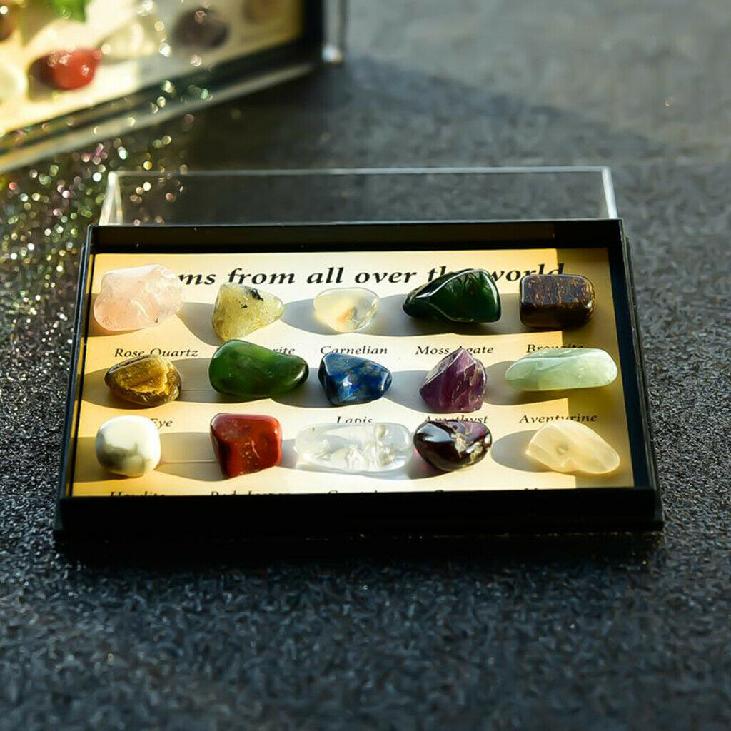 15 Rough & Polished Mineral Stone Set Education Specimen Kit in Wooden Box