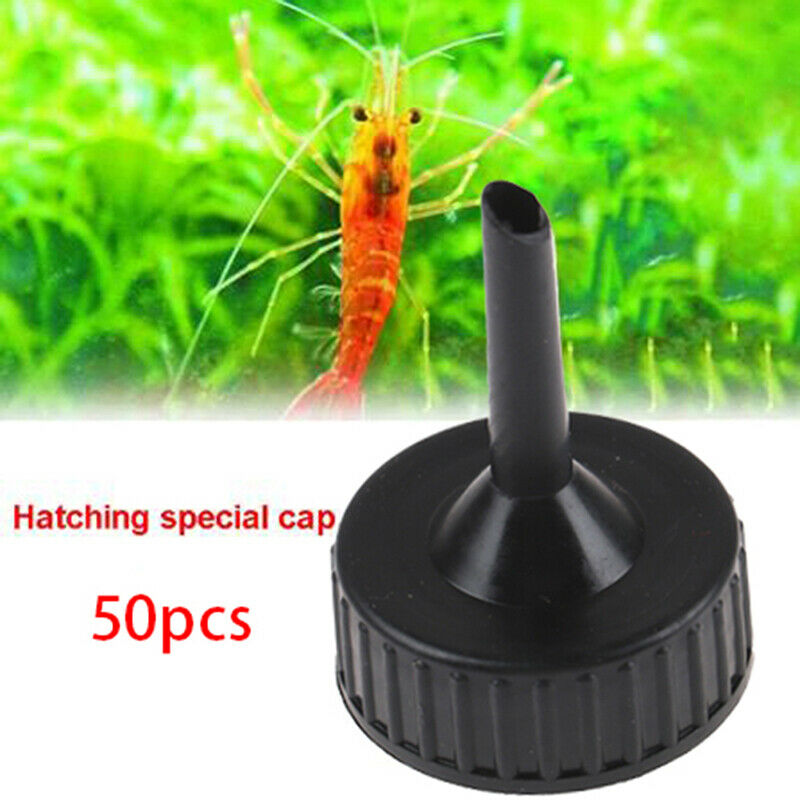 50PCS Aquarium Incubator Cap Artemia DIY Bottle System Regulator ValveI7CA