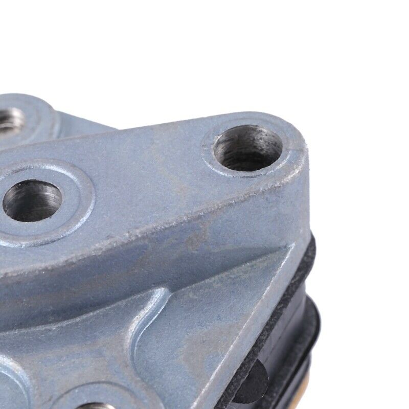 Fuel Pump for Johnson Evinrude 6-15Hp Motor 397839 391638 395091 397274 038868U1