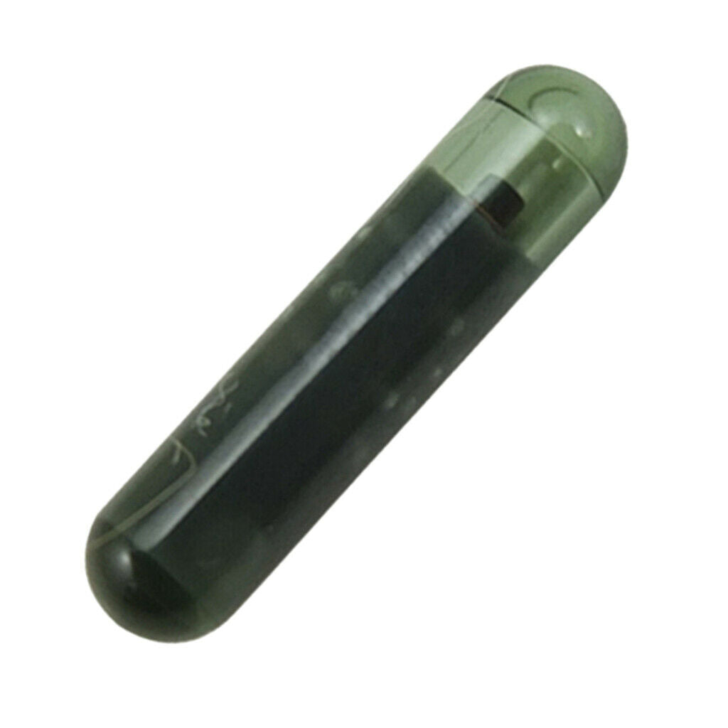 Pro ID48 Blank Cloning Chip