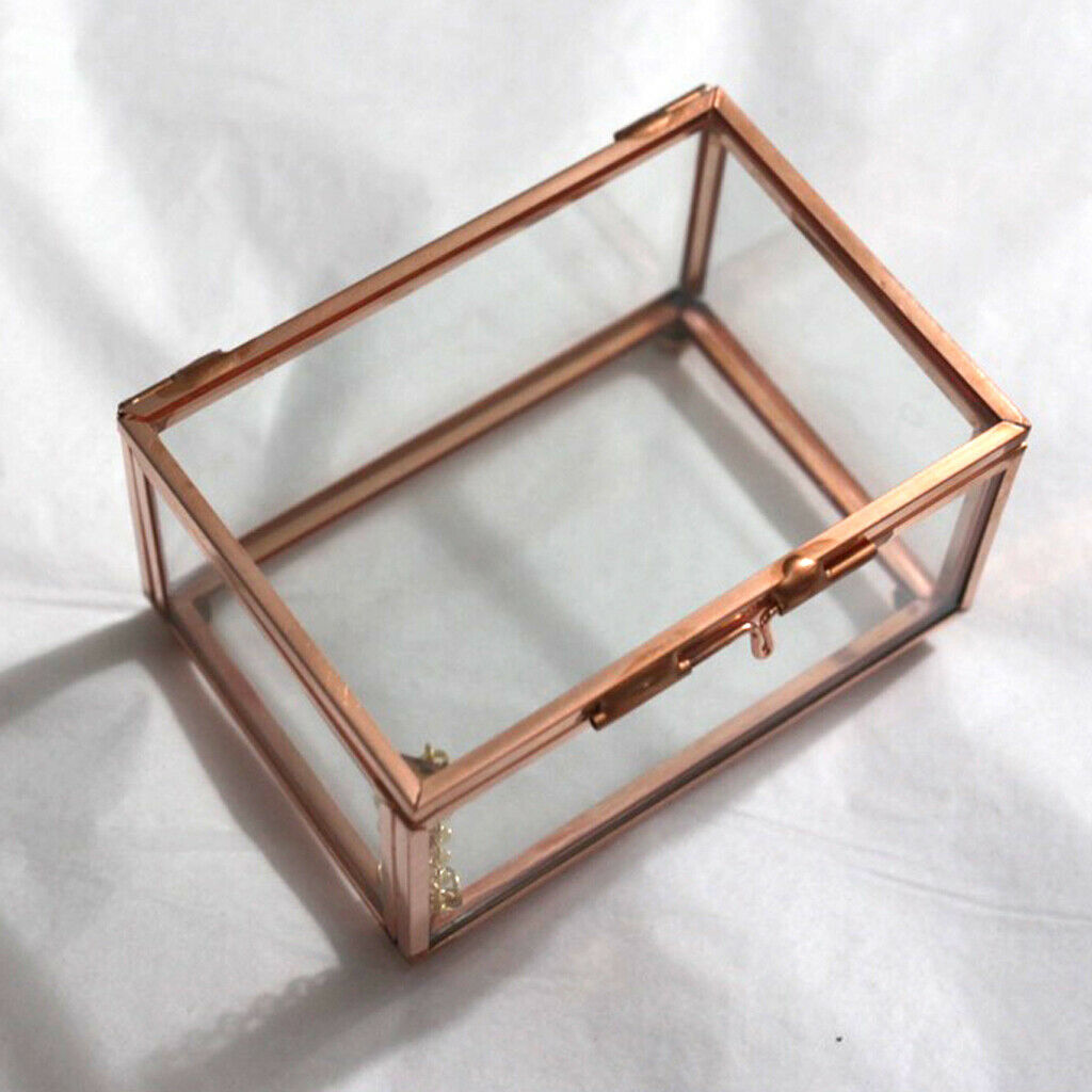 2Pcs Modern Desktop Rectangle Glass Geometric Terrarium Air Plants Container