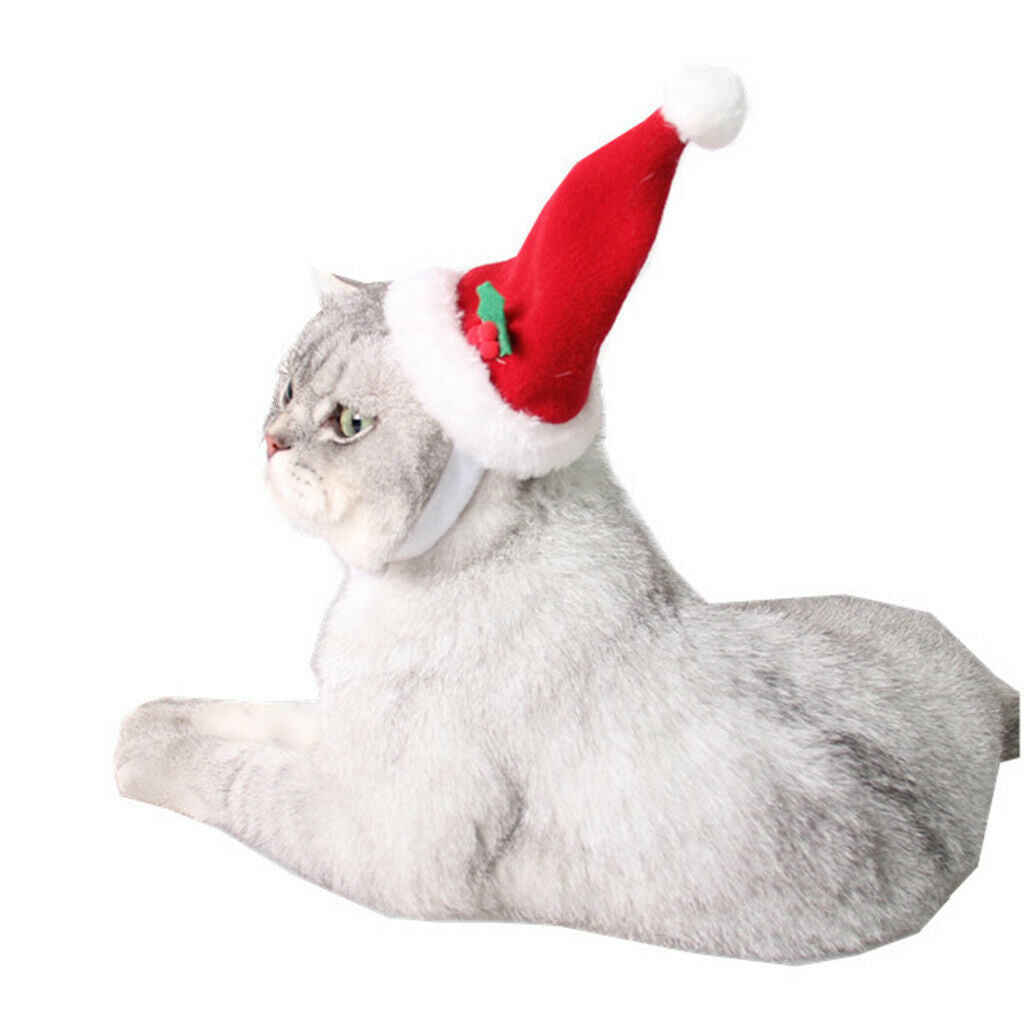 Dog Cat Pets Santa Hat Christmas Costume for Puppy Kitten Small Cats Dogs