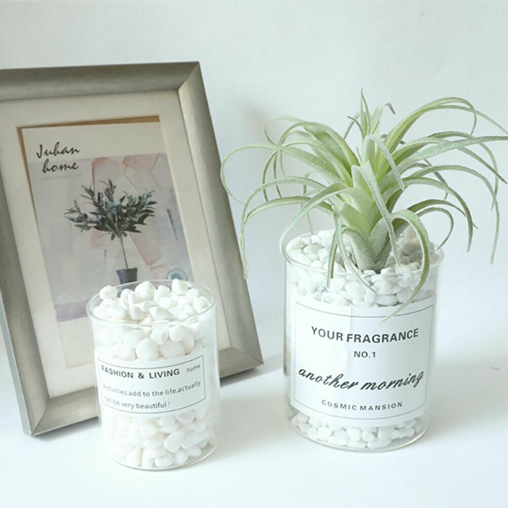 Artificial Pineapple Succulent Air Grass Plants  Flowers Home Decoratio JBH SJ