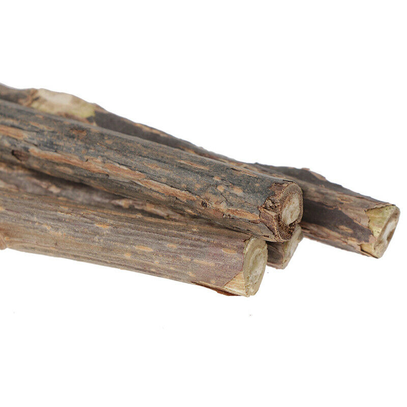 5x Cat Cleaning Teeth Pure Natural Catnip Stick Pet Molar Toothpaste Snac.l8