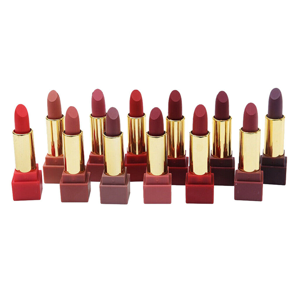 12x Lady Lipsticks Waterproof Pumpkin Red Pink Lip Stick Kit Christmas Gift