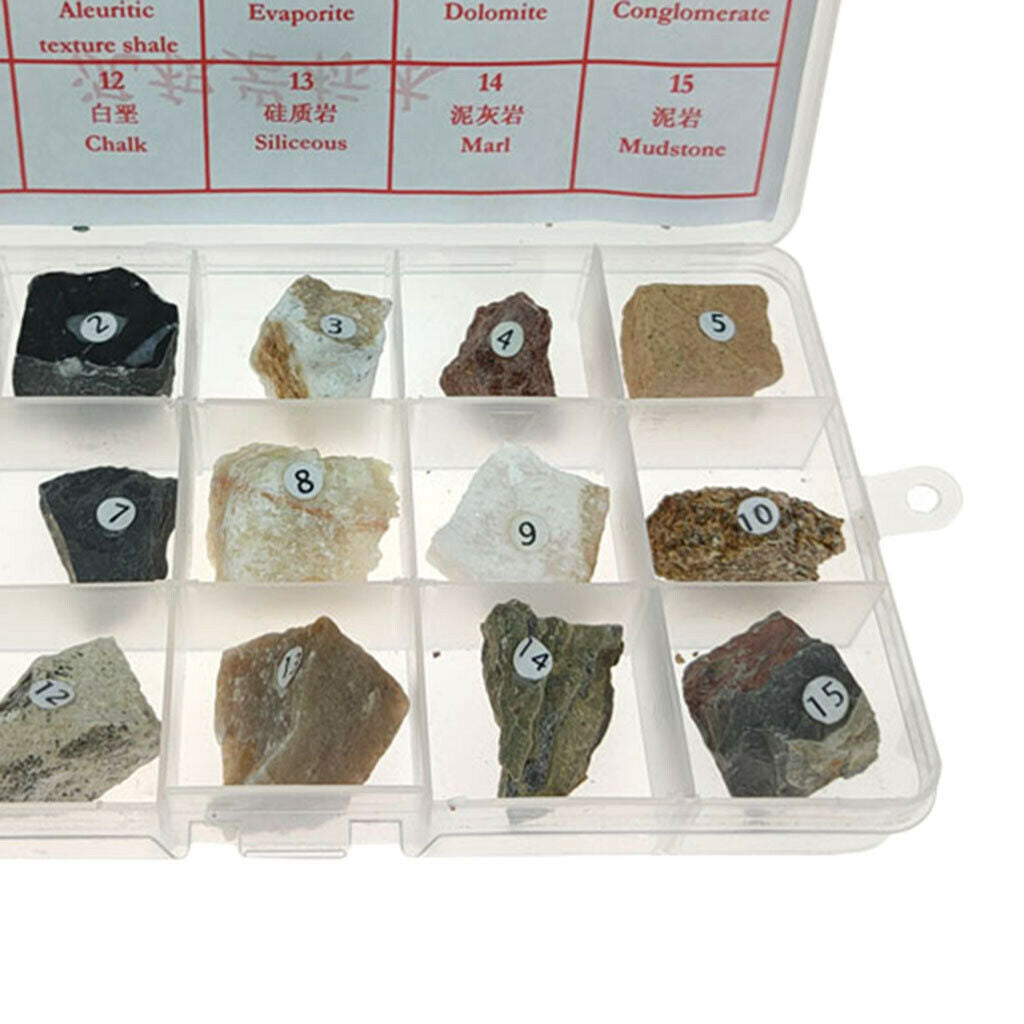 15pcs Sedimentary Rock Specimen Collection Teaching Aid Supplies w/ Box