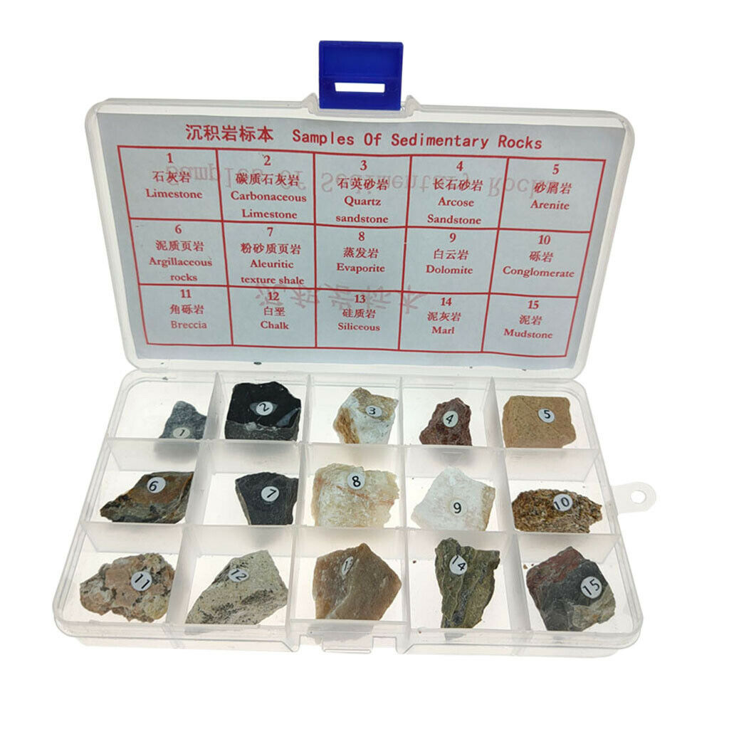 15pcs Sedimentary Rock Specimen Collection Teaching Aid Supplies w/ Box