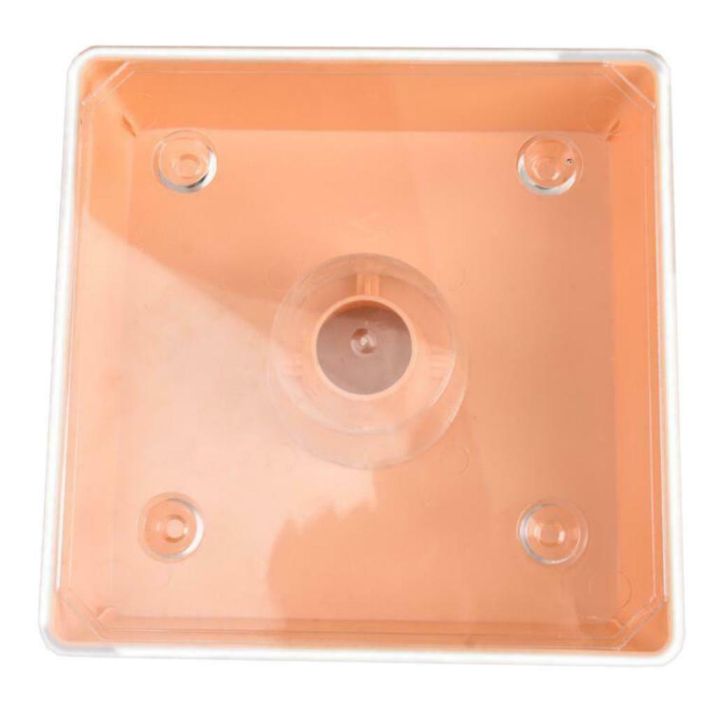 Square 2 Litres Plastic Beehive Top Feeder Bee Water Feeder Pre-assembled