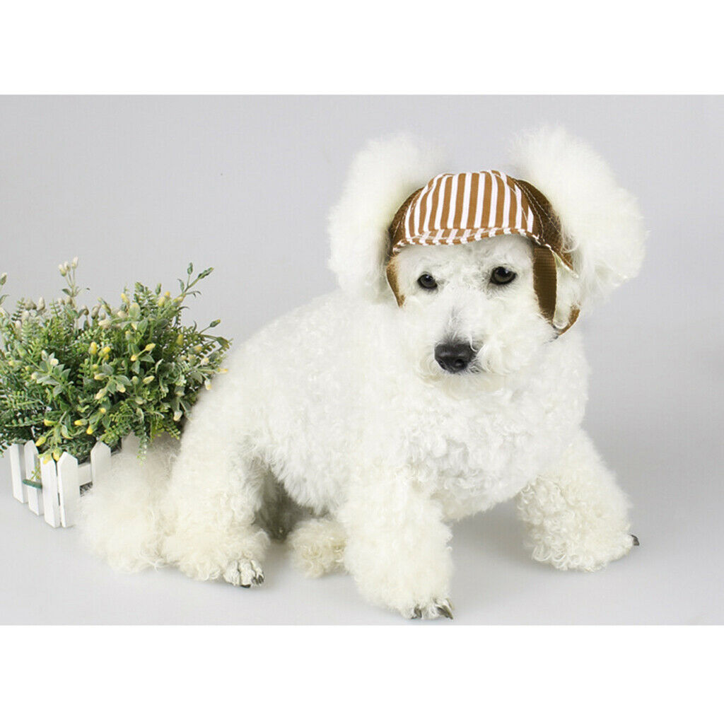 Summer Pet Dog Cat Baseball Visor Hat Puppy   Outdoor Sunbonnet Coffee S