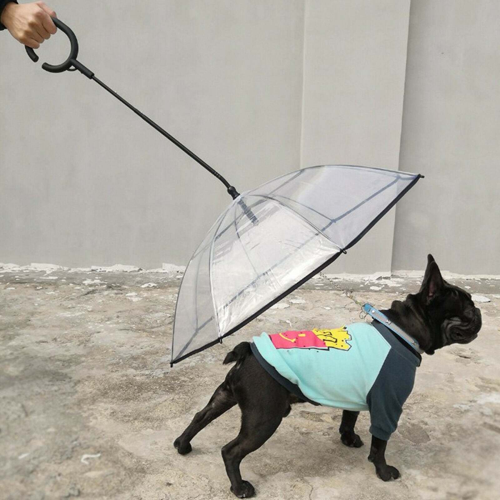 Dog Cat Umbrella with Leash Walking Clear Cover Keeps Pet Dry Raincoats