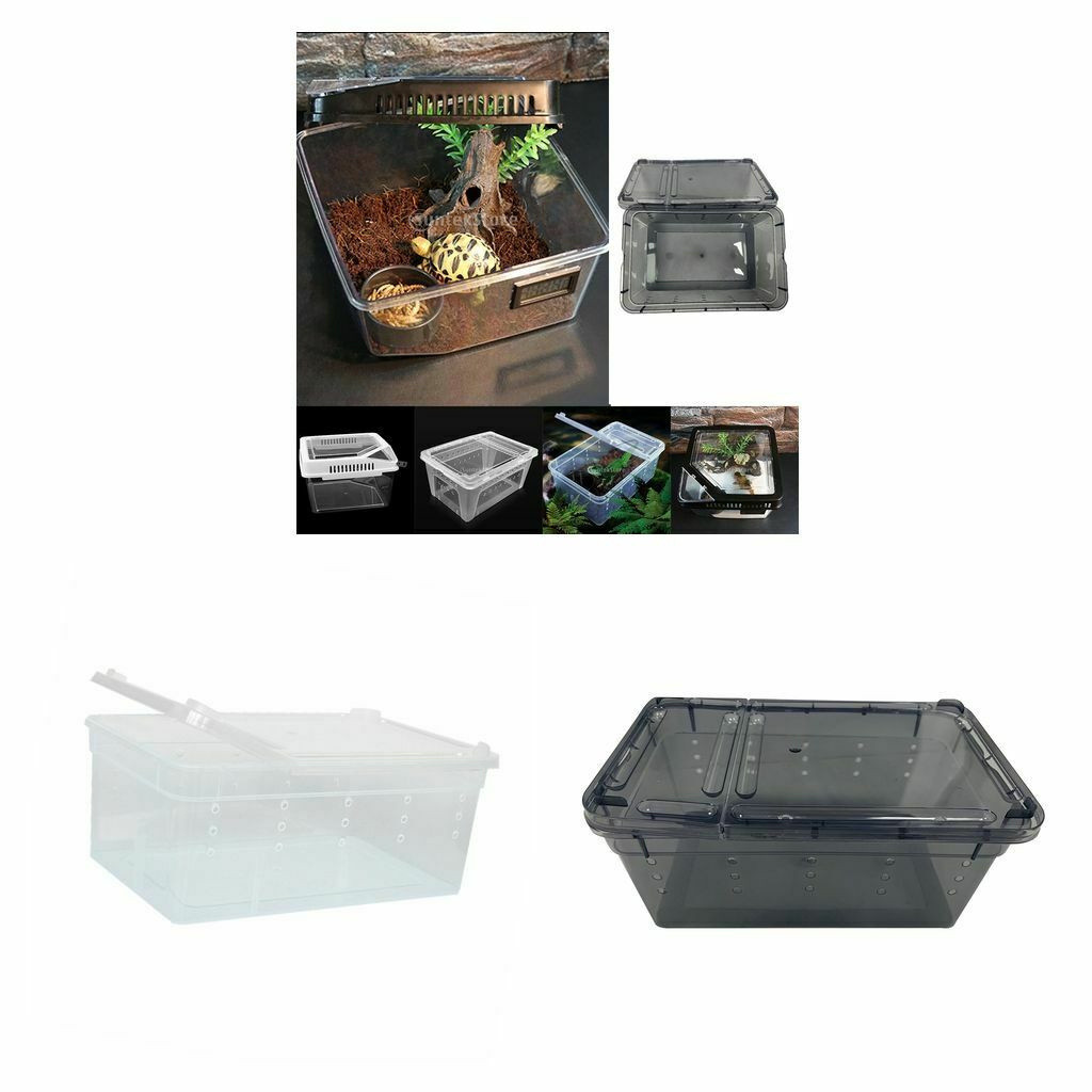 2Pieces Reptile Water Feeding Box Turtle Hatching Box Lizards Tortoise Frogs