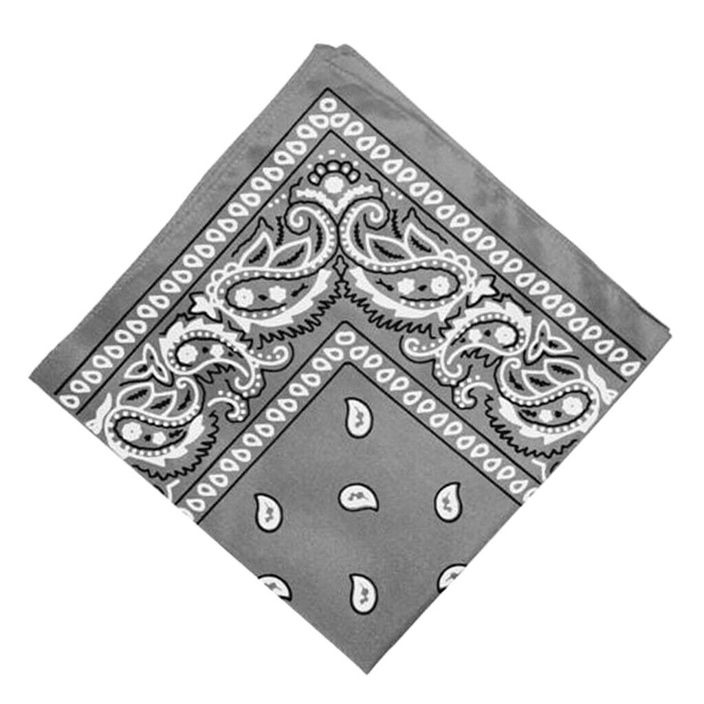 2Pcs Women Men Cotton Paisley Print Paisley Bandana Head Wrap Neck Hair Band