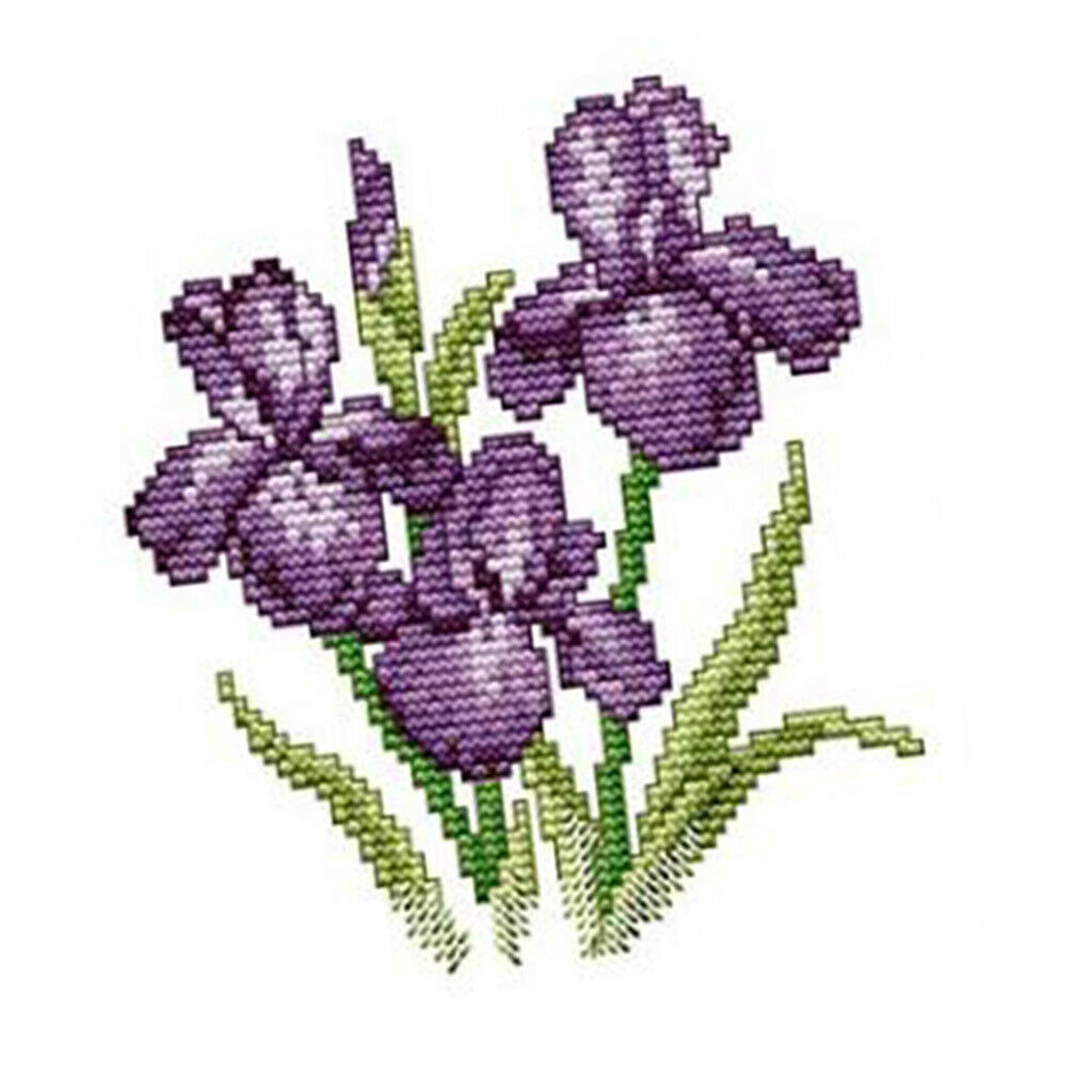 2Set Flower Pattern Stamped Cross Stitch Kit Embroidery Kit DIY Needlecraft