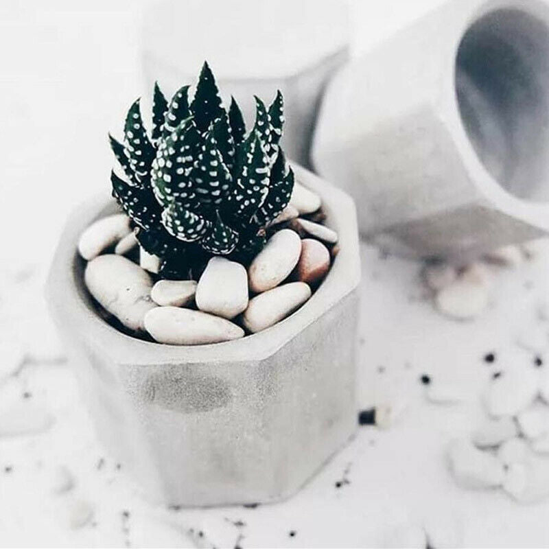 3 Cavity Silicone Pot Mold Clay Concrete Succulent Flower Cement Pot Cup .l8
