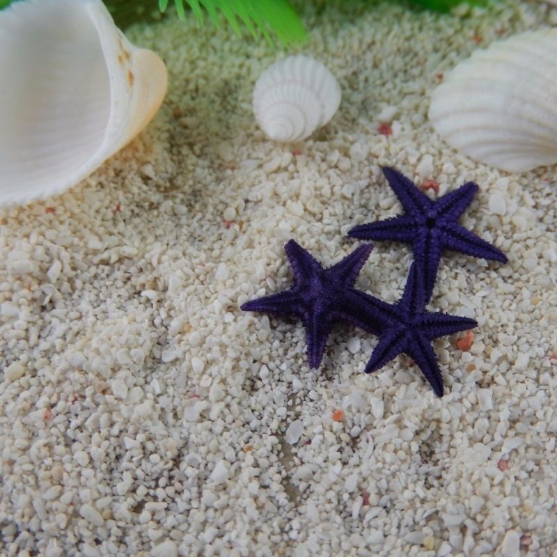 20 Pieces Colorful Natural Starfish Mini Crafts Decorations For Micro Landscape