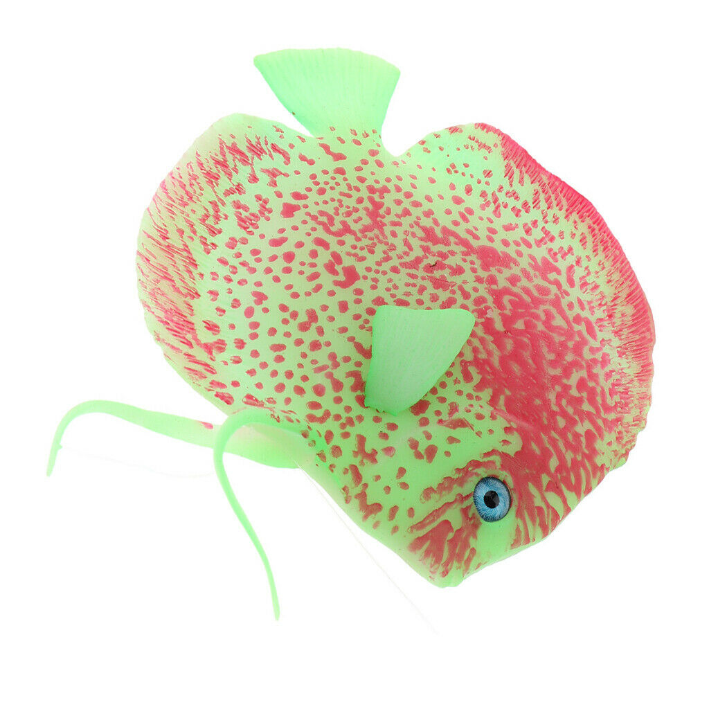 Beautiful Aquarium Angel Fish Attractive for Your Tank Safe for All Fish