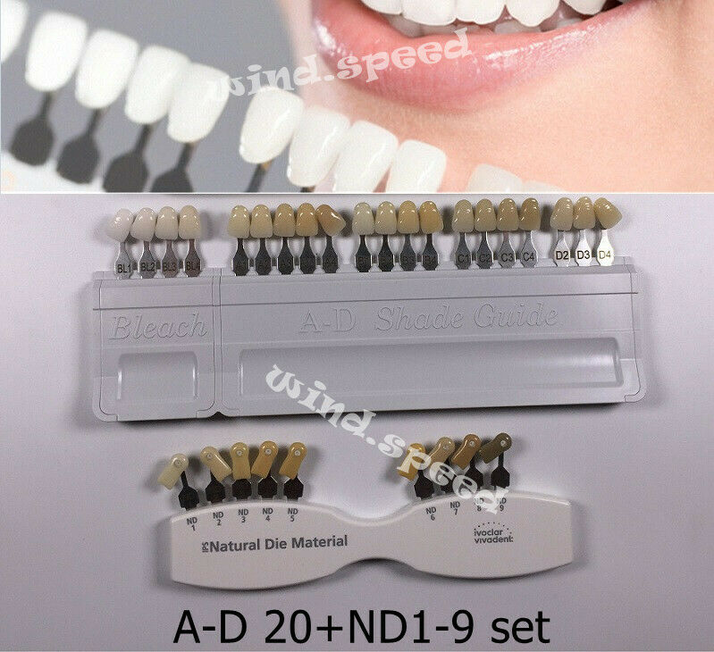 Dental Shade Guide Bleach Teeth Ivoclar Vivadent Natural Die A-D 20+9 Colors