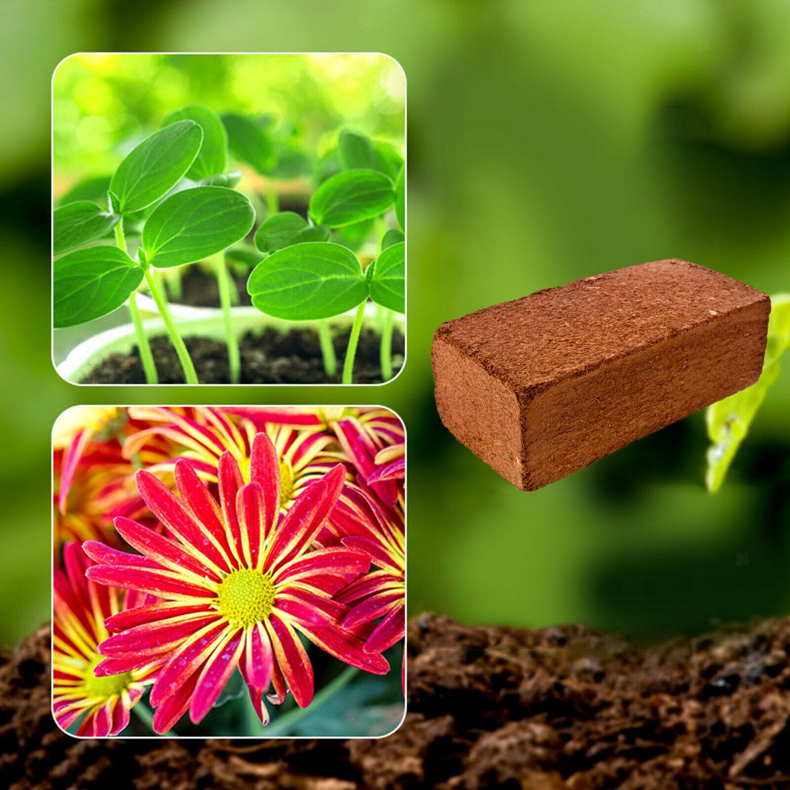 Organic 650g 9L Planting Coco Nutrient Soil Blocks Coconut Coir Bricks