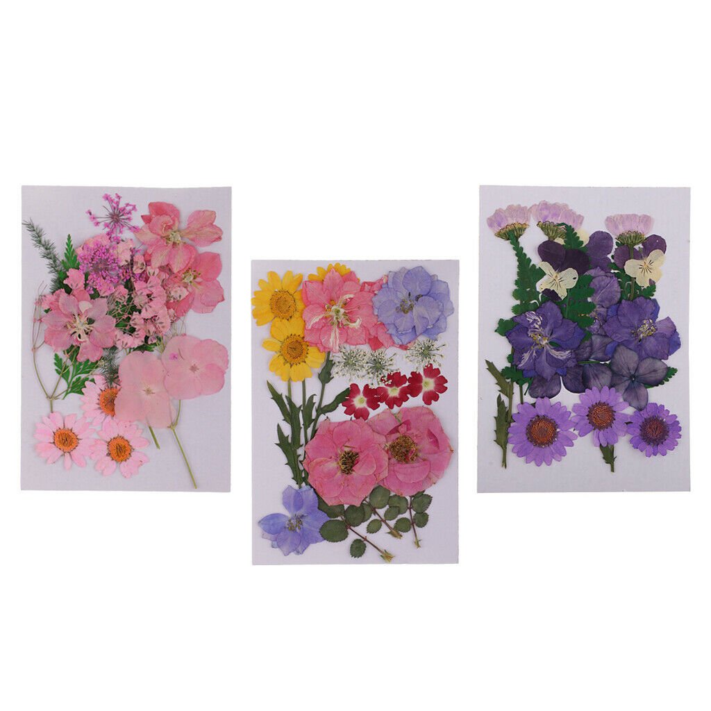 3 bags Dried Flower Leaf for Embellishment Crafts DIY Card Making Decor Ornament