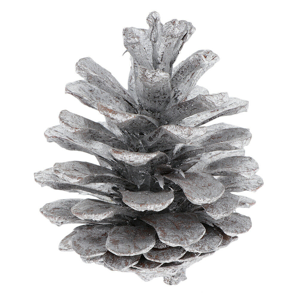 10pcs colorful real pine cone baubles decorations kids DIY festival hanging