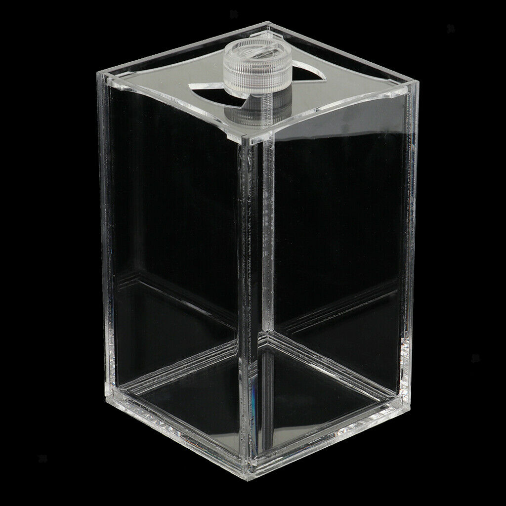 Acrylic Transparent Aquarium Tropical Sea Aquatic Rumble