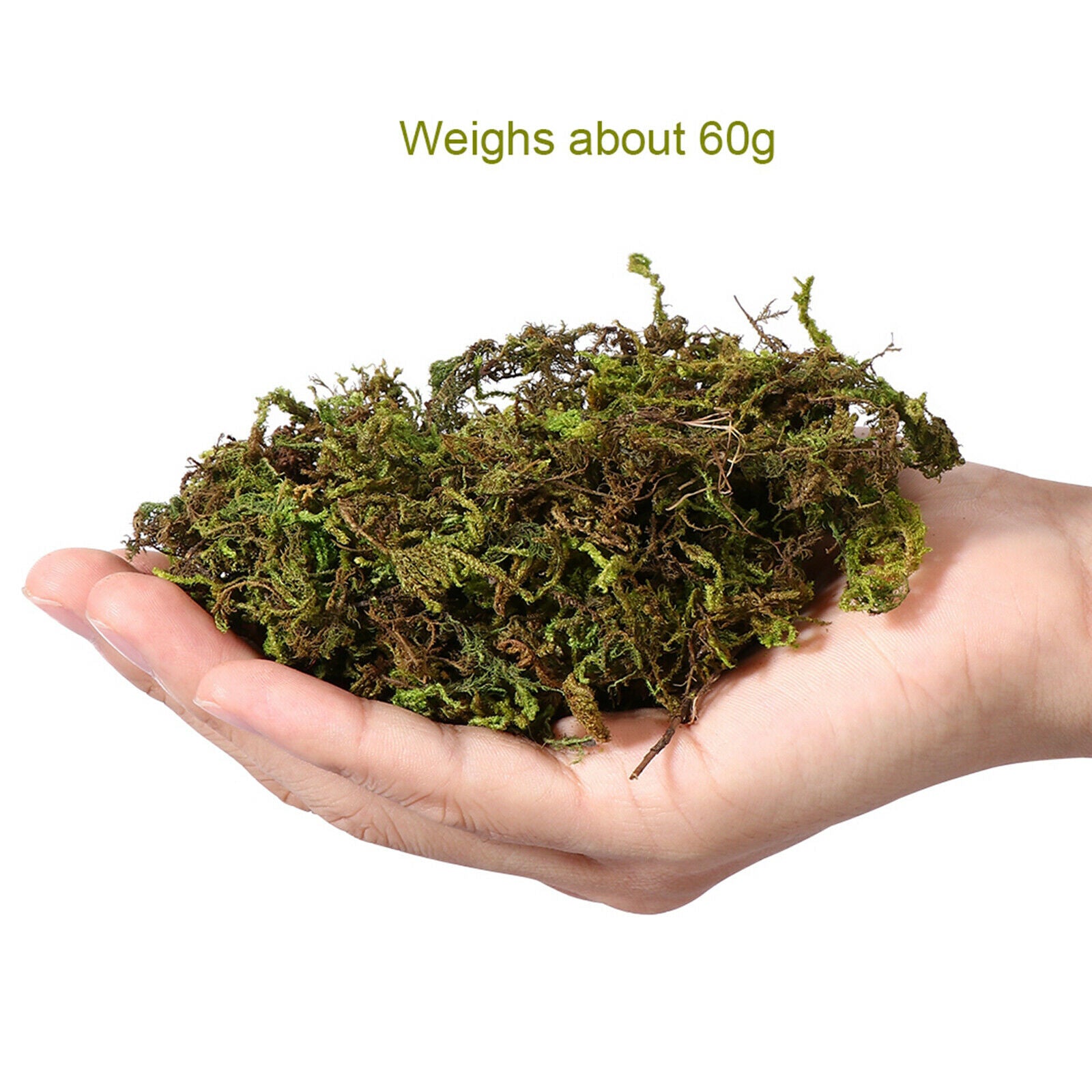 100g Simulated Keep Dry Green Moss Green Plant Decoration Potted Plants Arts