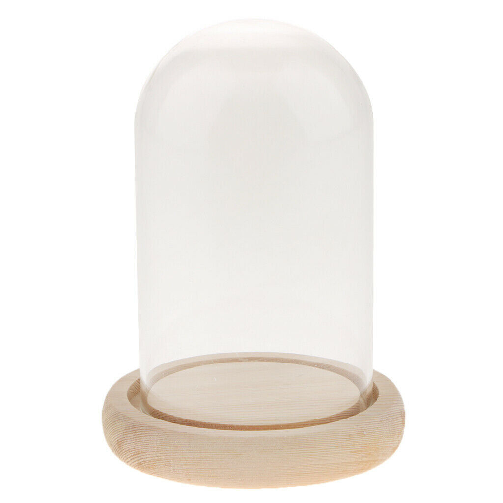 Glass Display Dome Cloche Bell Jar With Wooden Base for DIY Decoration #A