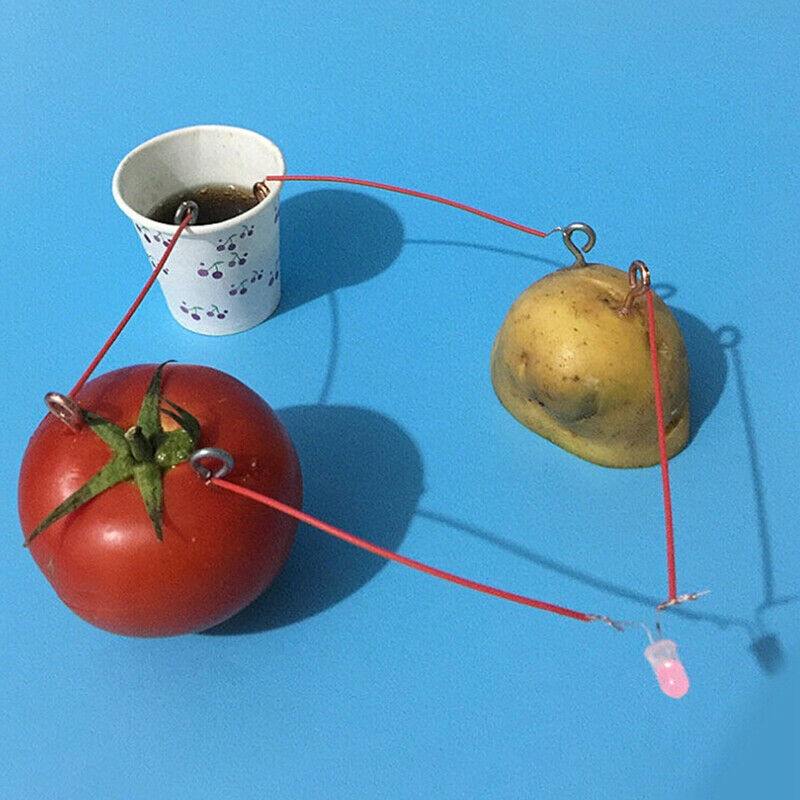 1 Set Children Bio Energy Science Kit Fruit Supply Electricity Experiments T.DD