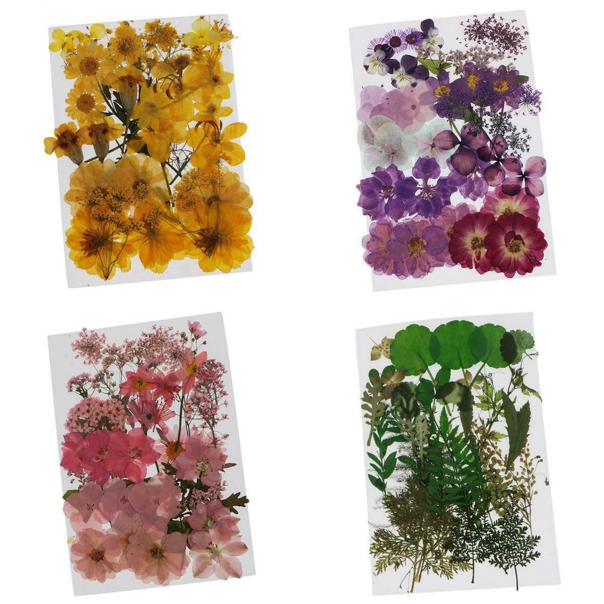 152x Real Dried Flower Leaves For UV Gel Acrylic False Nail Art Face Decor Craft