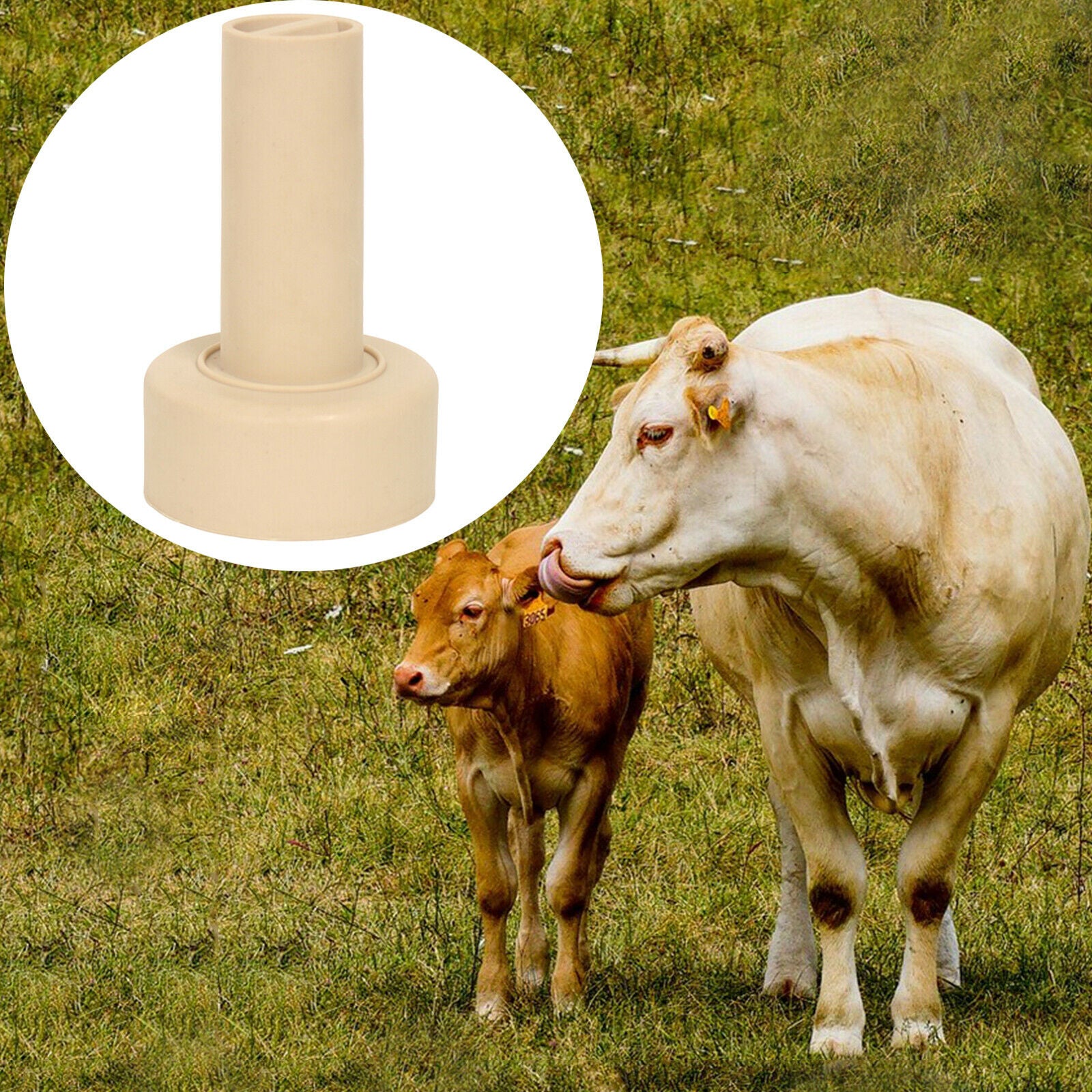 Rubber Livestock Nipple Milk Nipple for Cattle Goat Pony Livestock 9.5x5.9cm