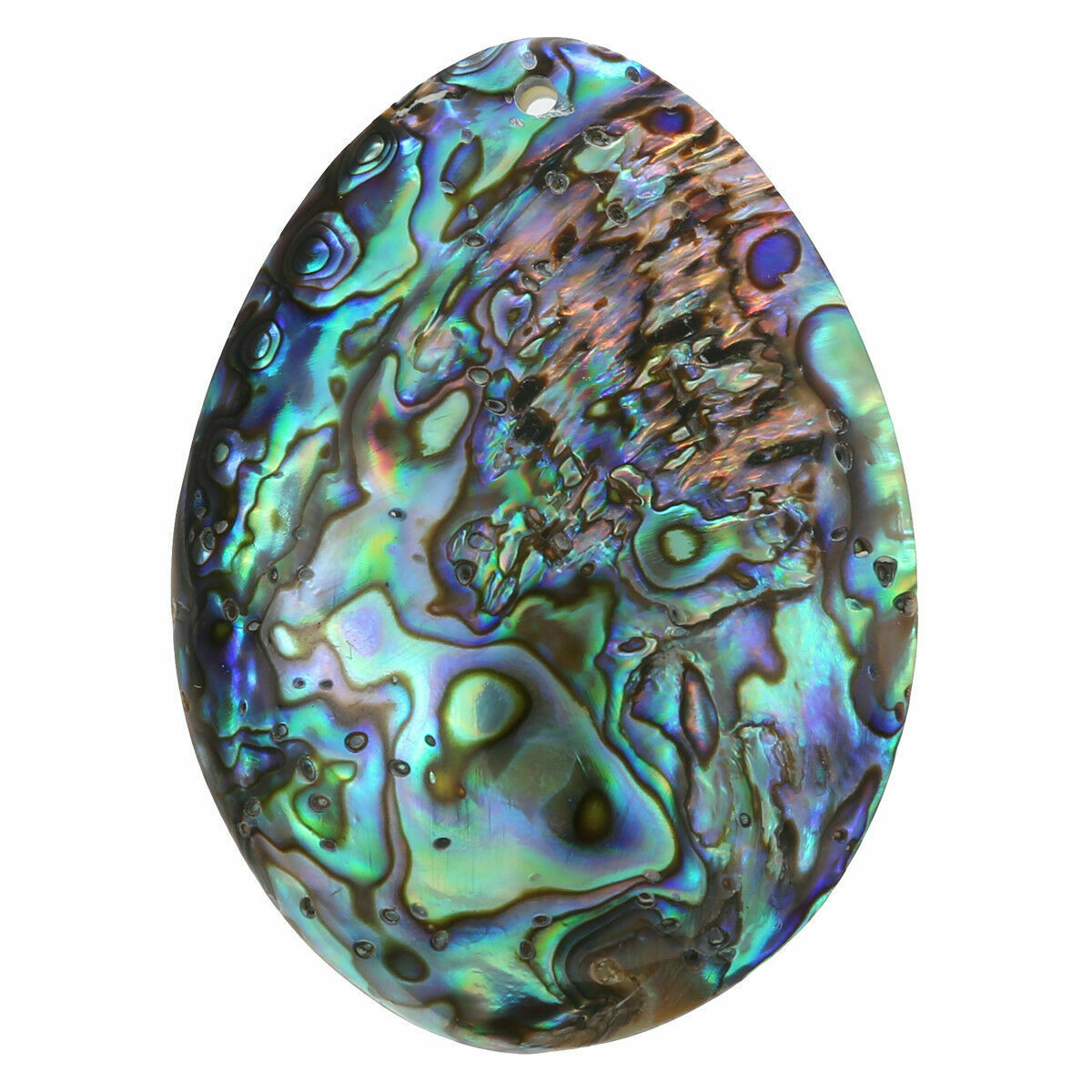 Seashell Abalone Shell Pendant Smudging Beach House Decor Natural Rainbow Gifts