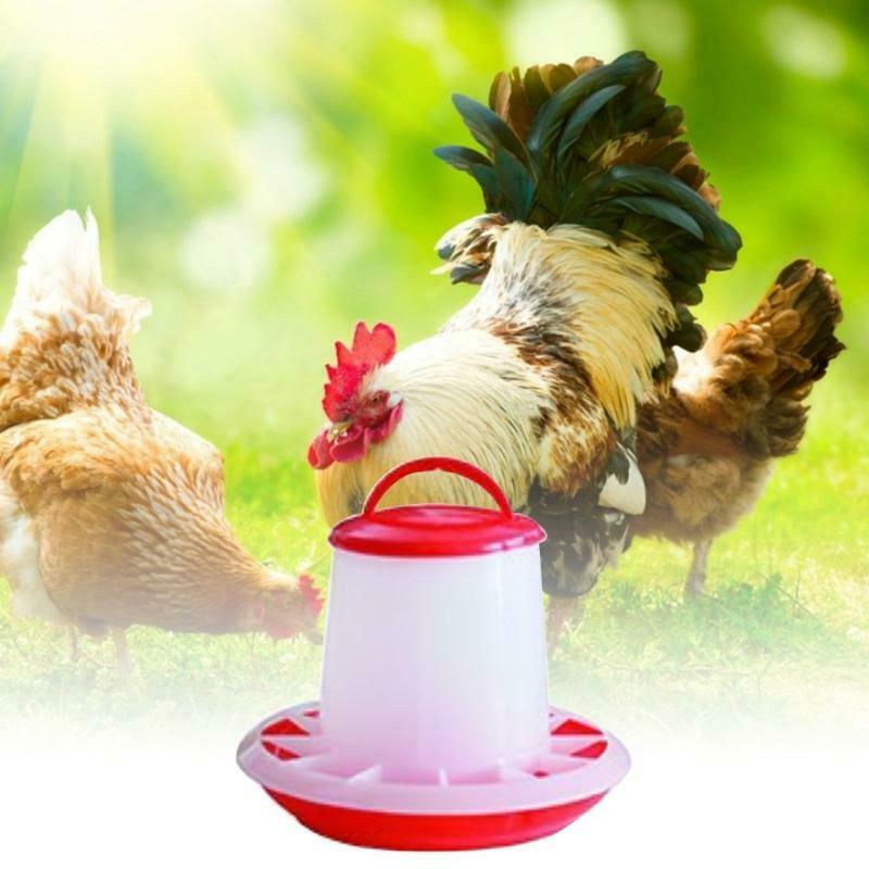 Hanging Chick Feeder Durable Automatic Poultry Food Dispenser for Chicken 6.6Lbs