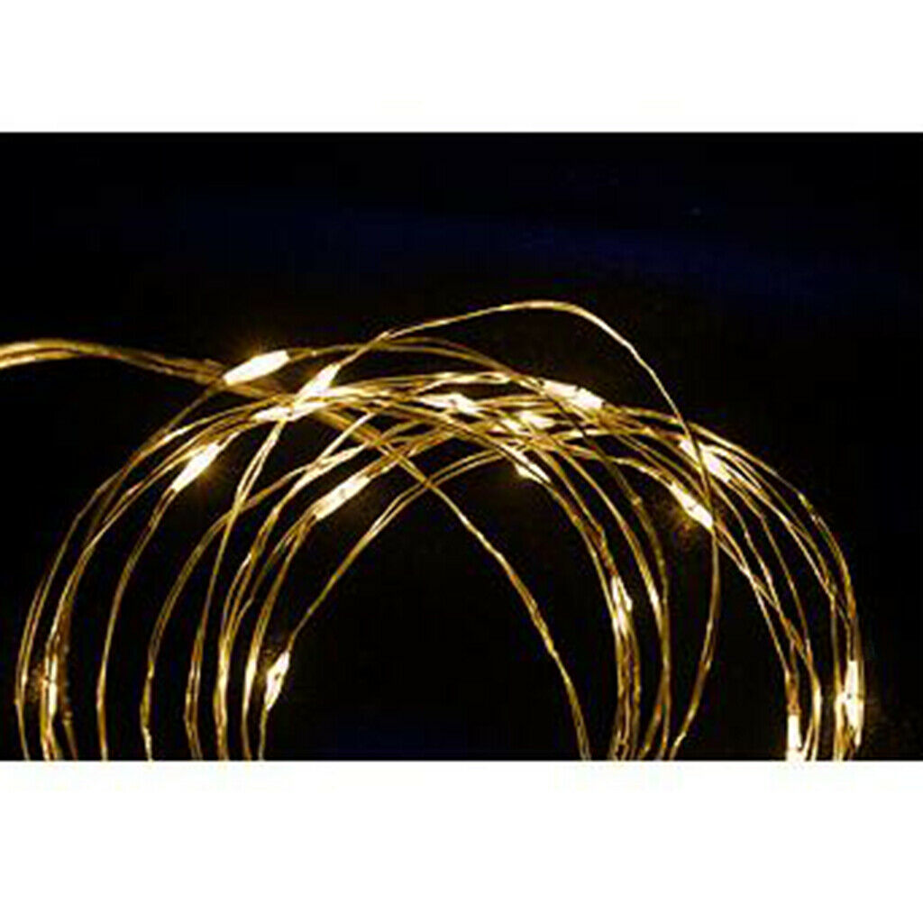 LED Copper String Light Holiday decoration b Warm White_2m