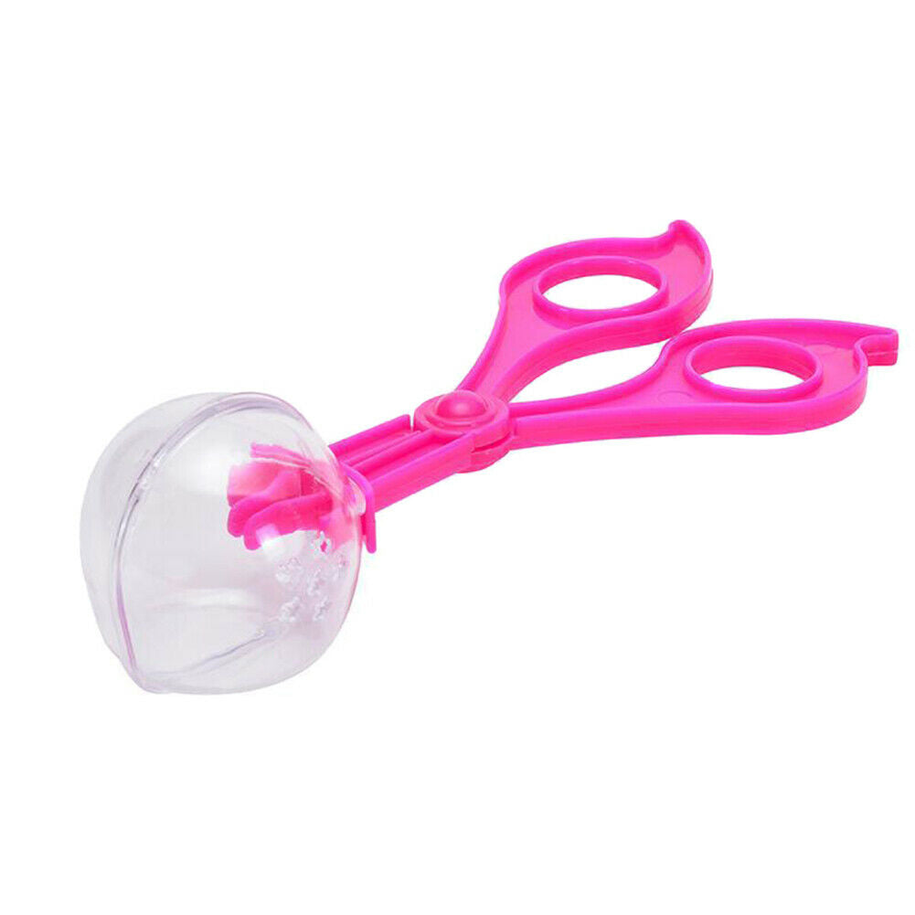 New Bug Insect Catcher Insect Collecting Box Indoor/Outdoor Insect Collecting US