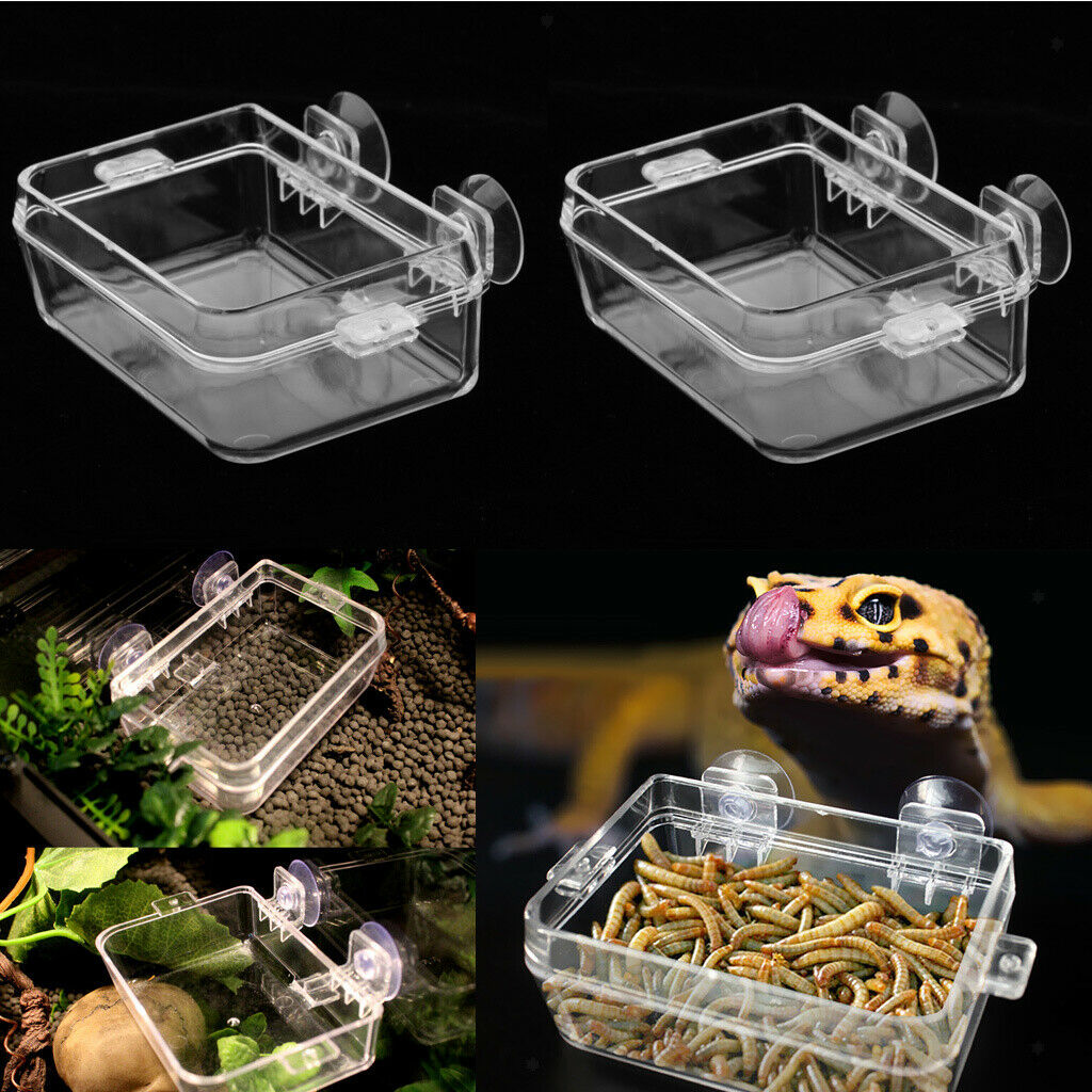 2x Transparent Tortoise Gecko Reptile Terrarium Water Dish & Food Bowl