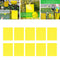 Yellow Sticky Traps 15x10cm for Fungus Gnats Aphids Thrips 10pcs