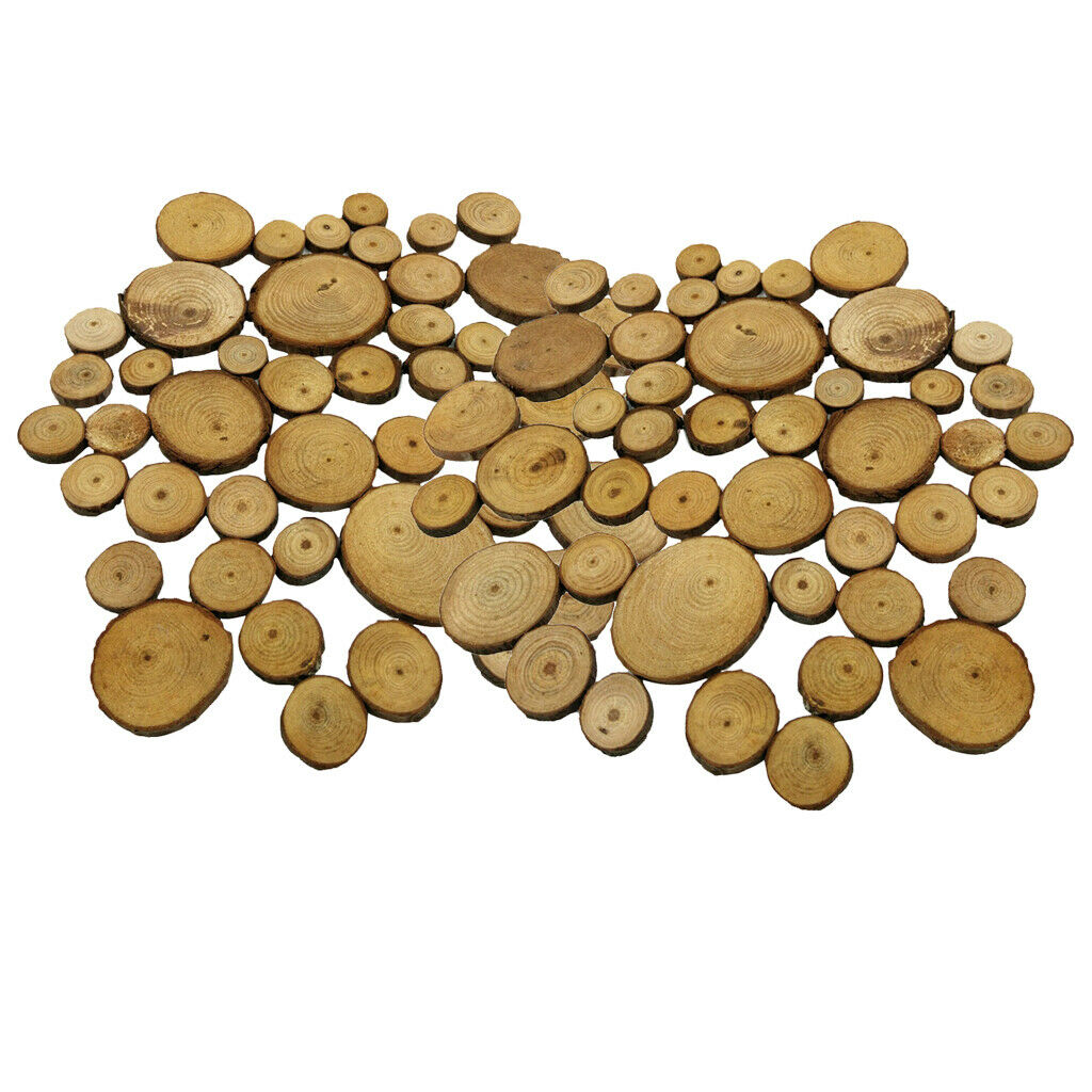 100x Wood Tree Slices Disc Pine Tree Log Plaques for Drawing Paintings 2-4cm