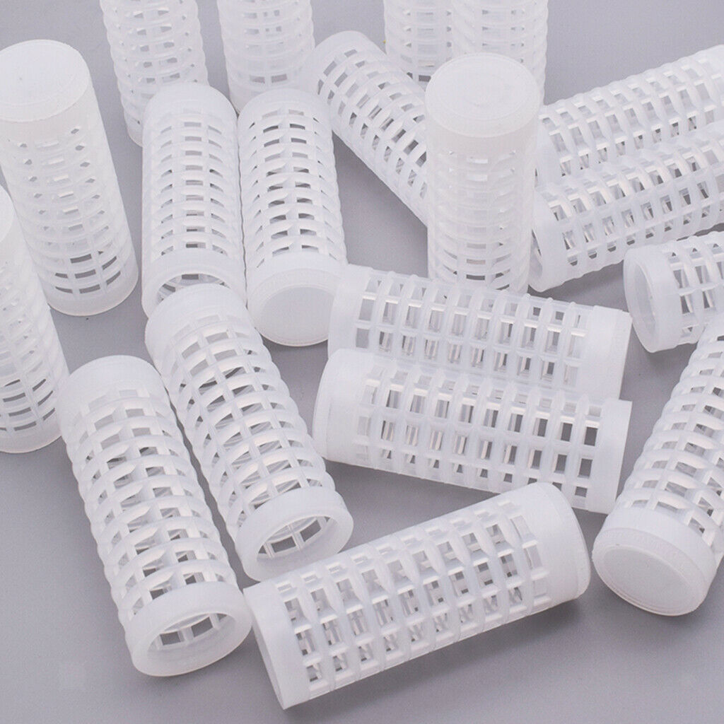 Queen Bee Rearing Grafting Kit for Apiculture Cell Cup Plastic Supplies Tool