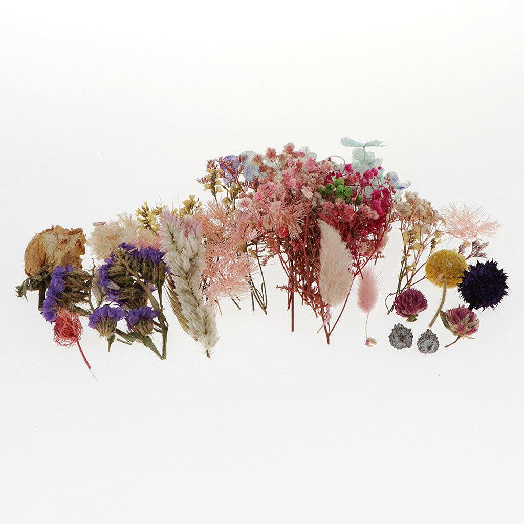 Dried Flowers, Bundles of Real Dried Flowers Pressed Leaves, Home Floral Crafts