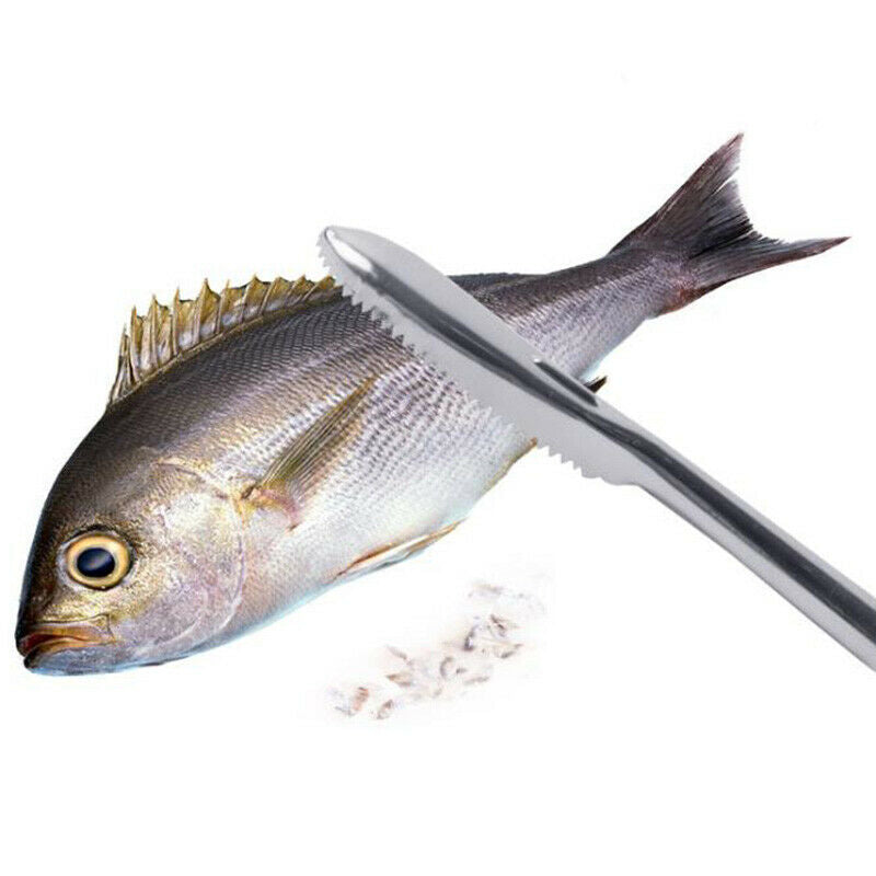 1PC Stainless Steel Fish Scale Remover Cleaner Scaler Scrapers & Kitchen .l8