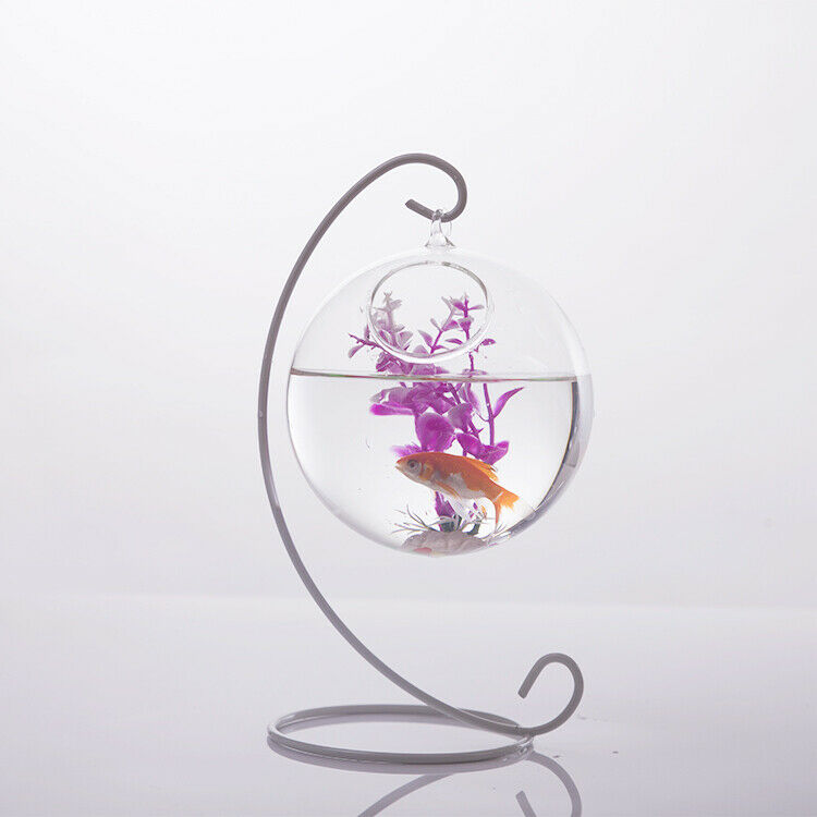 Ball Shaped Glass Hanging Flower Pot Vase