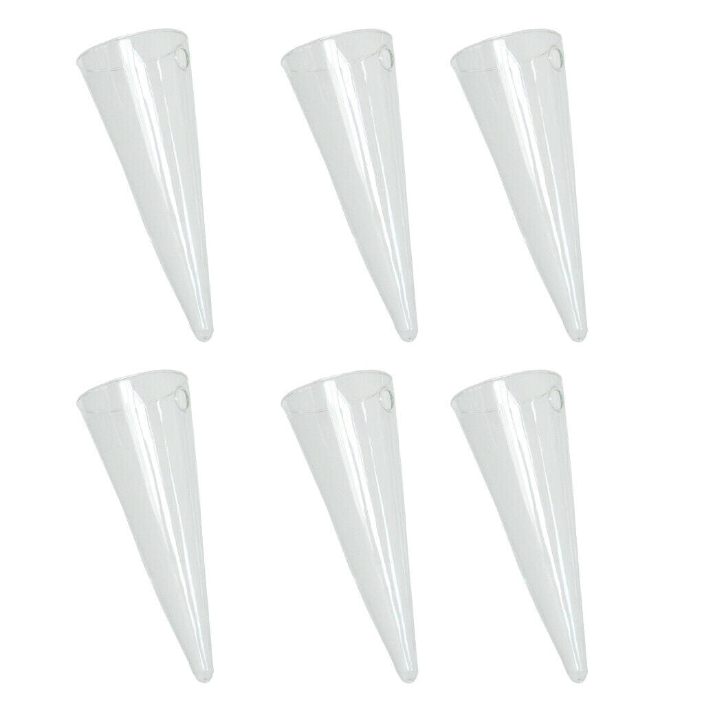 6 Pieces 16cm Glass Planter Conical Terrarium Office Living Room Decors